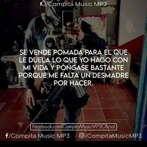 Meet your Posher, Sanchez